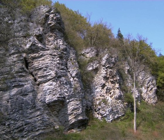 Kalkfelsen an der Nohner Mühle