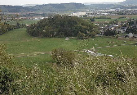 Lüxeberg, © Tourist Information Wittlich Stadt & Land