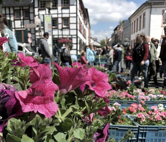 Blumen-, Kleintier- und Bauernmarkt, © Vereinskartell Kommern