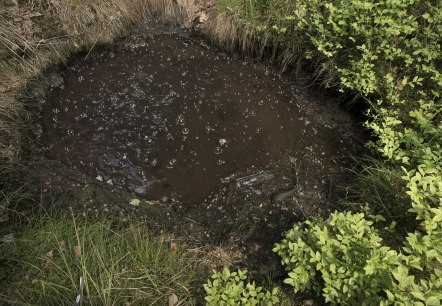 Kohlendioxidquelle Gelenberg, © Natur- und Geopark Vulkaneifel, KP Kappest