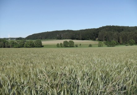 Wandern rund um Rommersheim, © Tourist-Information Prümer Land