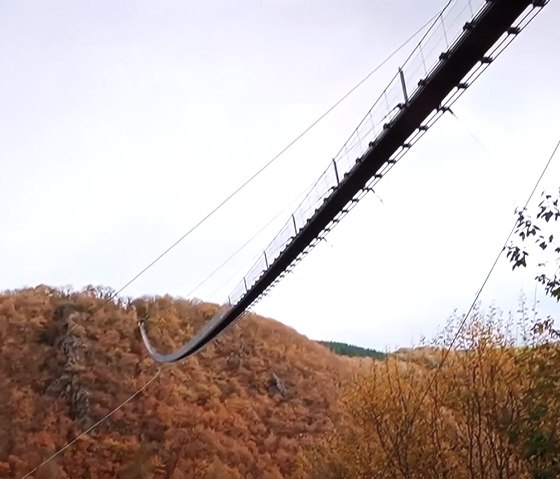 Hängeseilbrücke Geierlay