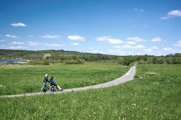 Weg am Jungfernweiher Ulmen, © Natur- und Geopark Vulkaneifel