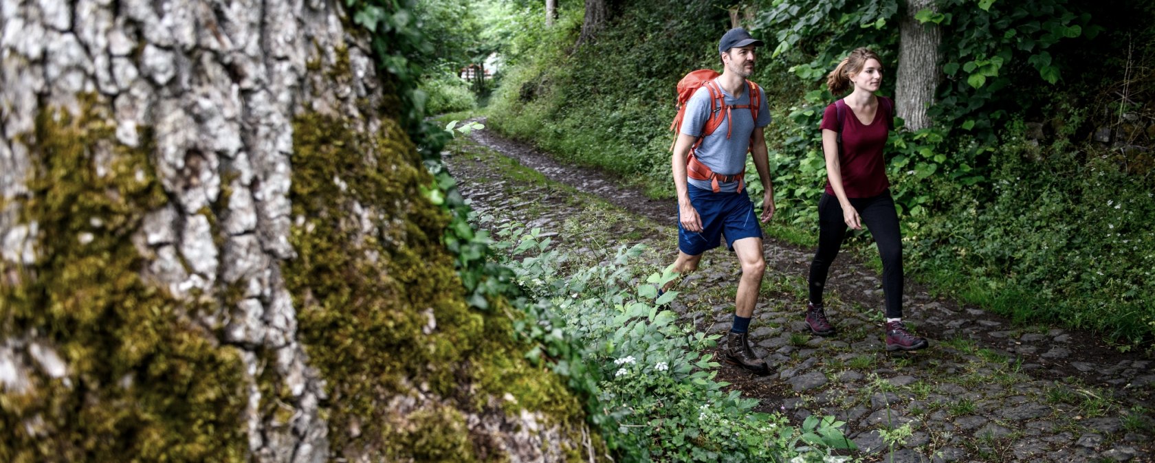 Wanderer beim Aufstieg zum Aremberg, © TI Hocheifel-Nürburgring©Christopher Pfromm,