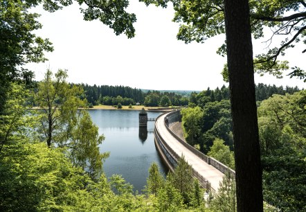 Dreilägerbachtalsperre, © Eifel Tourismus GmbH, Dominik Ketz