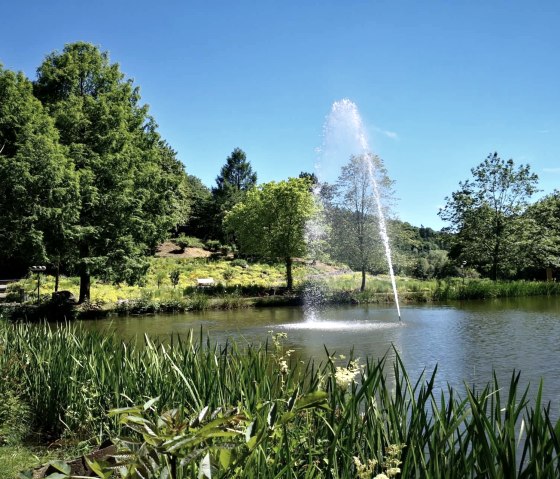 Wasserfontäne im Kurpark Daun, © GesundLand Vulkaneifel GmbH