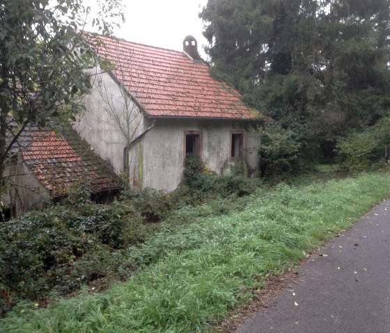 Wüstung Staudenhof, © Harald Geimer