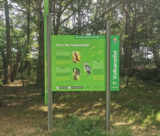 Infotafel am Rastplatz der Tiere, © GesundLand Vulkaneifel GmbH