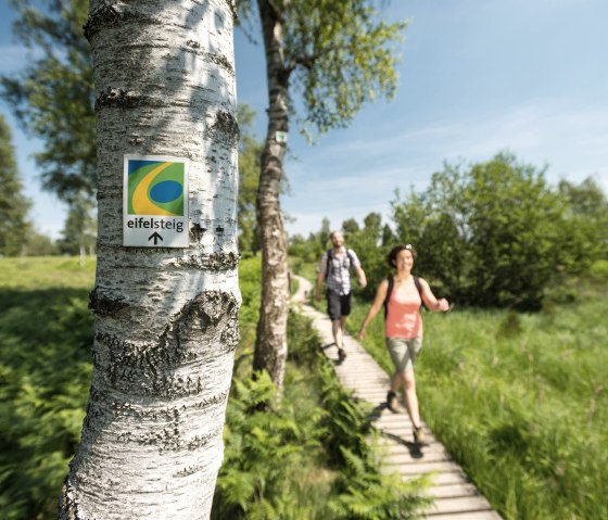 Wandern auf dem Eifelsteig, © Eifel Tourismus GmbH, Dominik Ketz