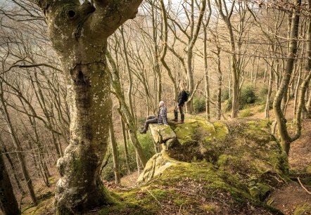 Schroffe Felsen, © Eifel Tourismus GmbH, D. Ketz