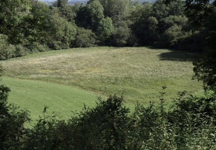 Das Hinkelsmaar, © Kappest