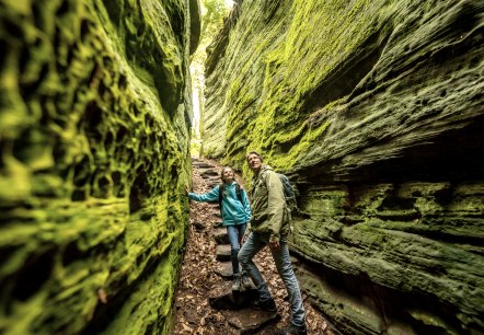 Felsen in der Grünen Hölle, Audiotour Grüne Hölle, © Eifel Tourismus GmbH, Dominik Ketz