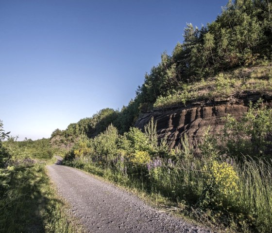 Schwarze Wand mit Blumen, © Kappest/VG Pellenz