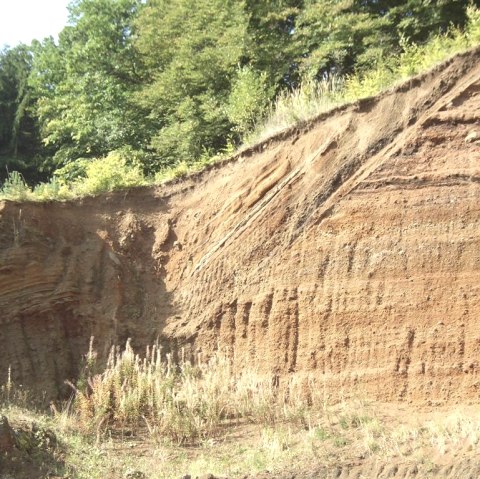 Tête de Rockeskyller, © Tourist-Information Gerolsteiner Land