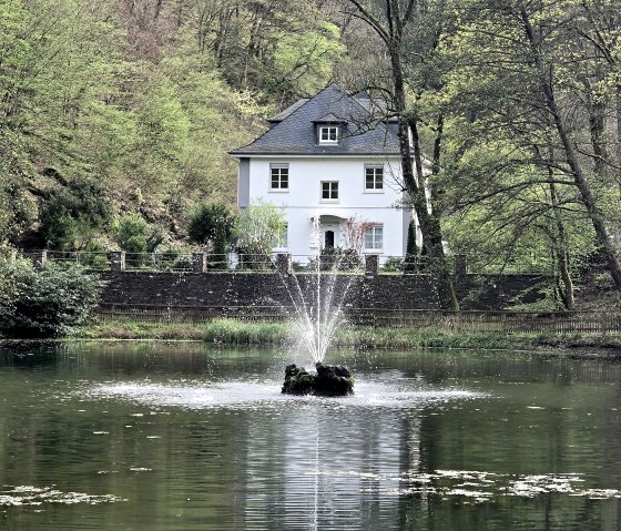 Schwanenweiher, © Yvonne Clemens-Cihlars