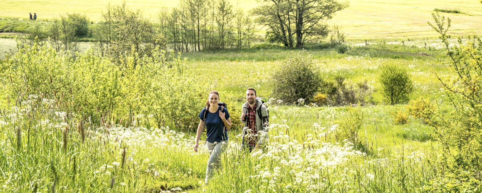 Wandern durch Sommerwiesen in der Eifel, © Eifel Tourismus GmbH, D. Ketz