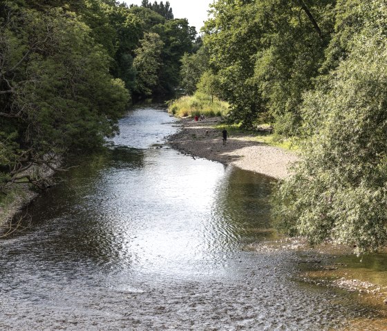 Rur, © Eifel Tourismus GmbH, Tobias Vollmer