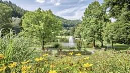 Kurpark im Herbst, © Rheinland-Pfalz Tourismus GmbH/F. Trykowski