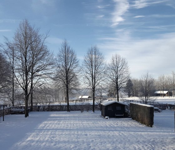 Garten Im Winter