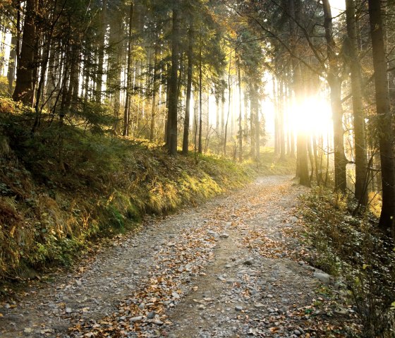 Waldweg