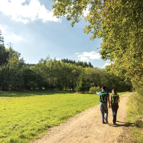 Begeleide wandeling, © Eifel Tourismus GmbH - Dominik Ketz