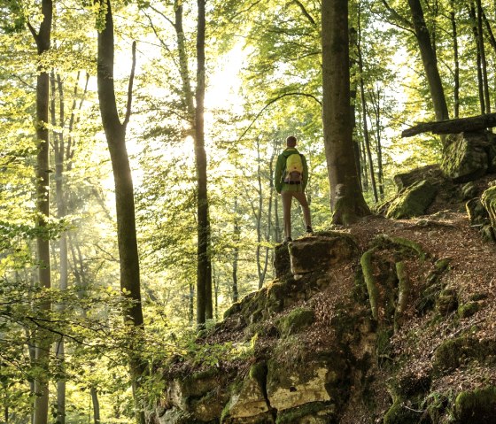 wanderer-im-felsenwald, © Eifel Tourismus GmbH, Dominik Ketz