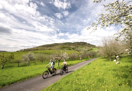 Im Frühjahr führt die Radreise durch blühende Streuobstwiesen im Naturpark Südeifel, © Eifel Tourismus GmbH, Dominik Ketz