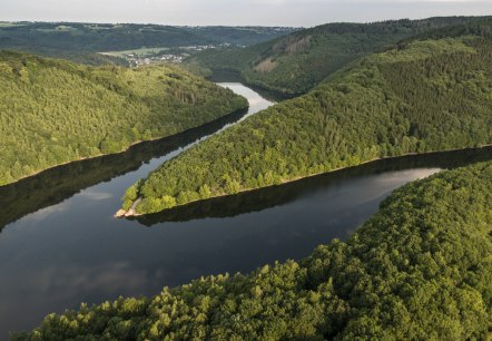 Blick in den Nationalpark Eifel und Urfttalsperre, © Eifel Tourismus GmbH, D. Ketz