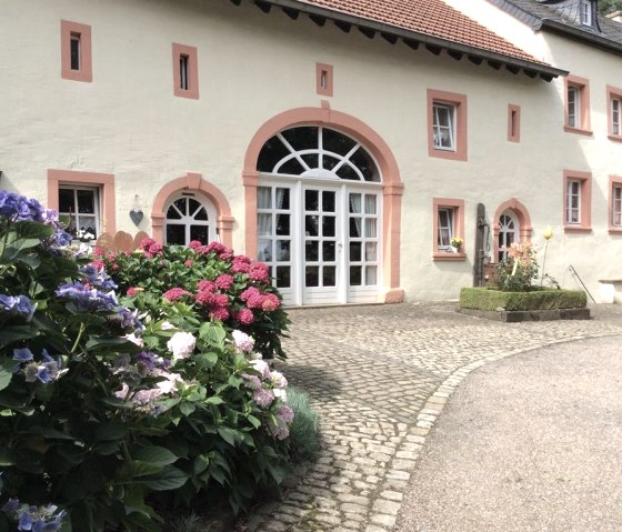 Blühende Hortensien in bunten Beeten