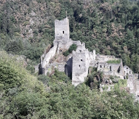 Niederburg - Manderscheid