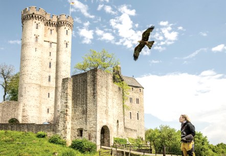 Adler & Wolfspark Kasselburg, Pelm, © Eifel Tourismus GmbH, Dominik Ketz