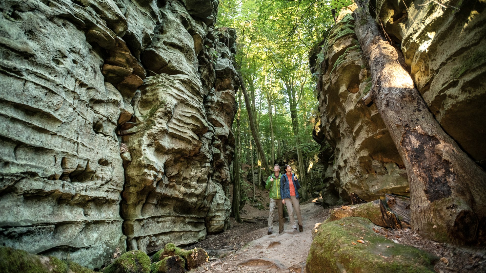 Felsenwege, © Eifel Tourismus, Dominik Ketz