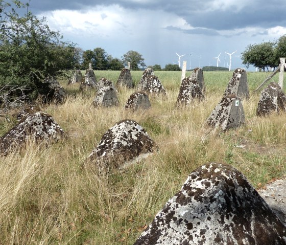 Höckerlinie, © Tourist-Info Islek