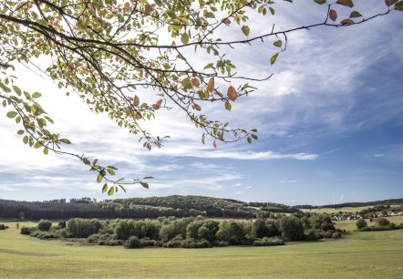 Blick ins Maar, © Natur und Geopark Vulkaneifel