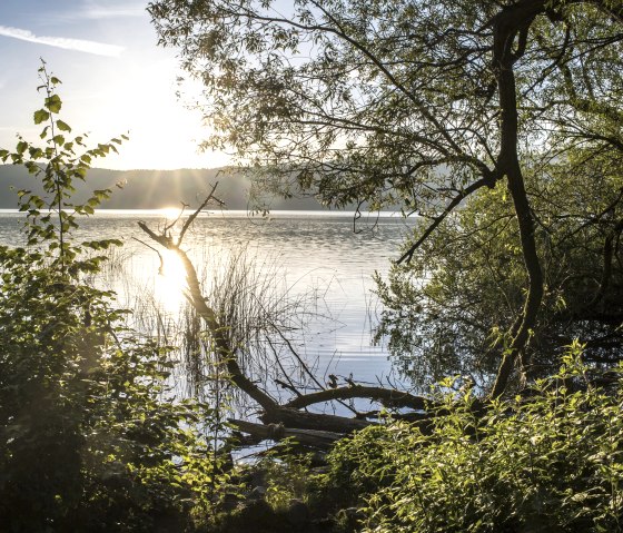 Vue sur le lac, © Kappest/Vulkanregion Laacher See