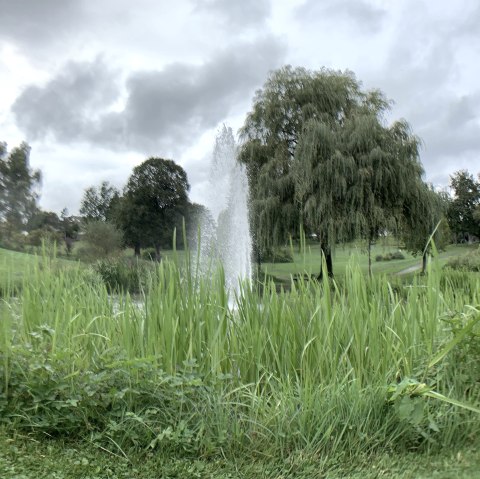 Manderscheid kuurpark