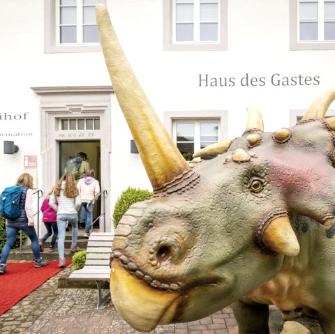 Abteihof Bollendorf - Haus des Gastes, © Eifel Tourismus GmbH, Dominik Ketz