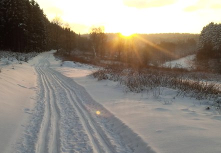 Verschneiter Weg, © Nationalpark Eifel