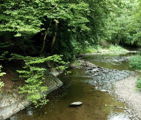 Lieserpfad entlang am kleinen Fluss Lieser, © GesundLand Vulkaneifel GmbH, D. Ketz