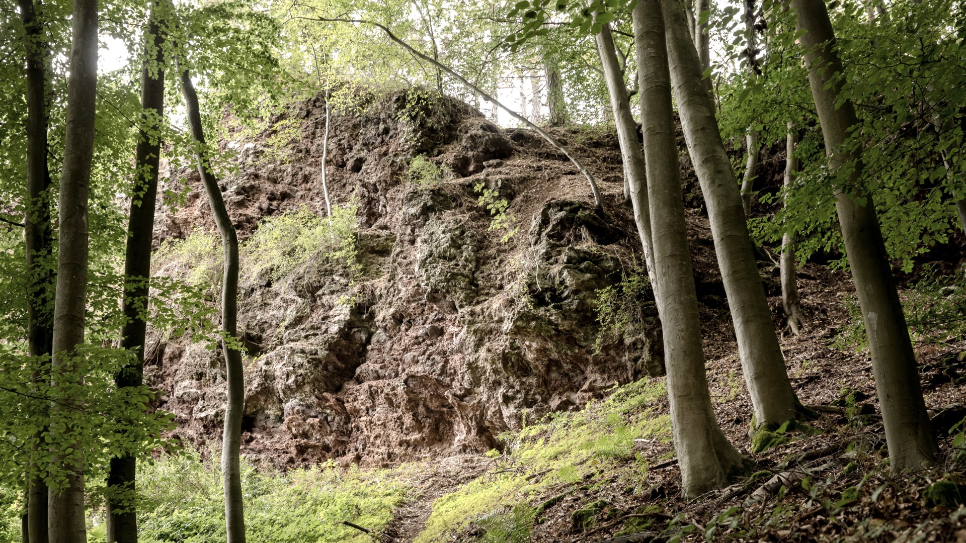 Kottenheimer Büden am Traumpfad Vulkanpfad, © Martin Christ/Vulkanpark GmbH