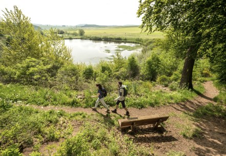 Wandern Eichholzmaar, © Eifel Tourismus GmbH, Dominik Ketz