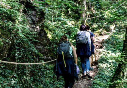 Wandern rund um Bad Bertrich