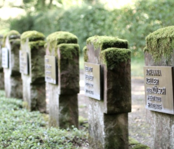 Wanderausstellung Nationale Naturlandschaften, © Tourist-Information Prümer Land