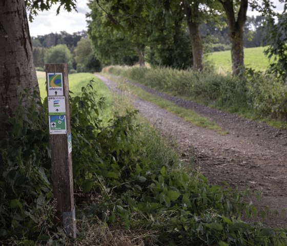 Milchweg Kall, © Eifel Tourismus GmbH, Tobias Vollmer