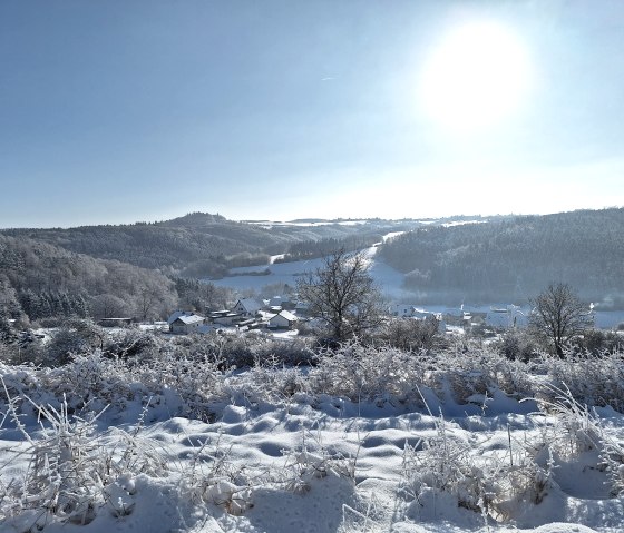 Wirft im Schnee 3, © Frank Hoffmann