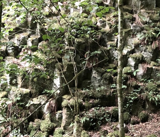 Wolfsschlucht Basaltsäulen, © GesundLand Vulkaneifel GmbH