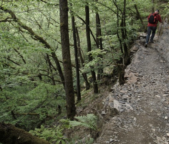 Lieserpfad/Eifelsteig