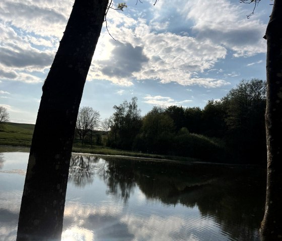 Ausblick am Weinfelder Maar, © Privat