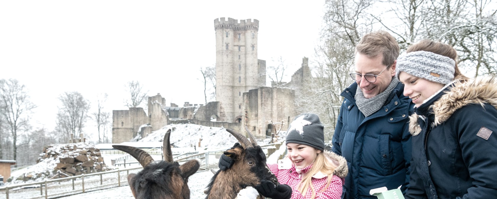 Adler- und Wolfspark Kasselburg Ziegen, © Eifel Tourismus GmbH, Dominik Ketz