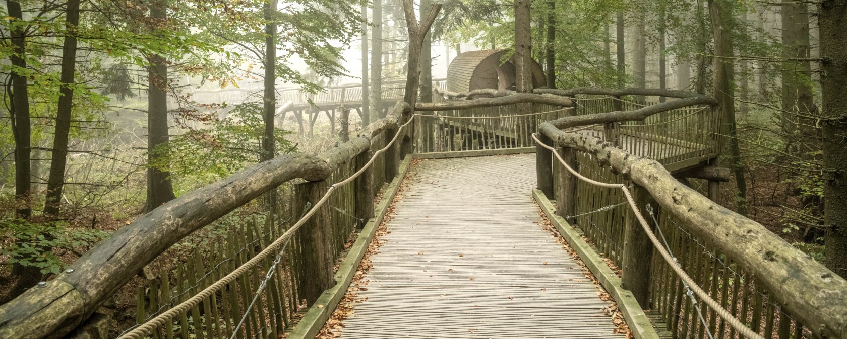 Wilder Weg, © Nationalparkverwaltung Eifel, D. Ketz